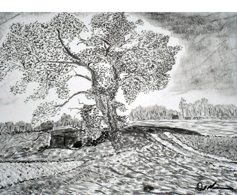 Dirk Nienemann, Künstler Holzkohlezeichnungen, Lehrte Hannover, Drucke Holzkohlezeichnungen,Abstrakte, Landschaft, Stillleben